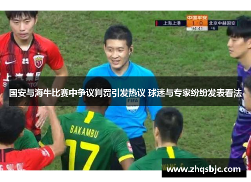 国安与海牛比赛中争议判罚引发热议 球迷与专家纷纷发表看法
