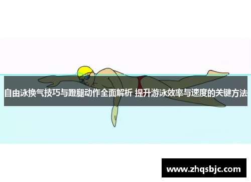 自由泳换气技巧与蹬腿动作全面解析 提升游泳效率与速度的关键方法