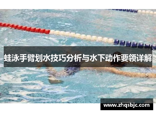 蛙泳手臂划水技巧分析与水下动作要领详解